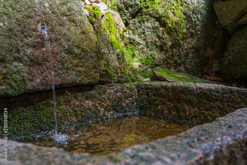 Pure mineral spring water flows from a mossy rock wall into a traditional stone basin at a Korean temple.