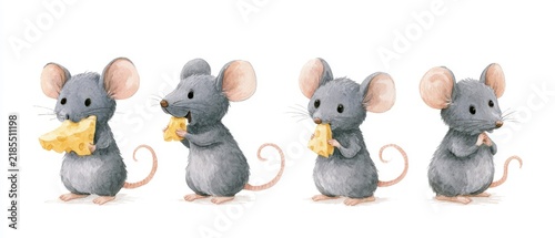Cute watercolor illustration of a gray mouse eating cheese and hiding, four different poses in a horizontal row, character sheet, isolated on a white background, soft colors, children's book