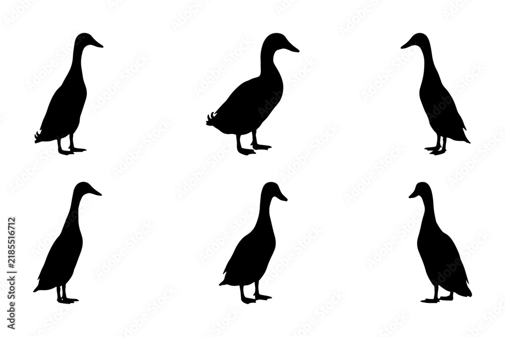 Fototapeta premium Six Black Duck Silhouettes, Vector Graphics for Nature and Wildlife Designs