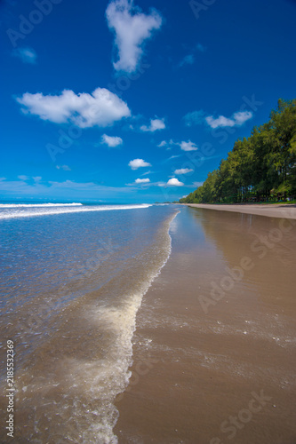 Tropical beach landscape with coconut palm trees, clear blue sky, and peaceful coastal scenery under bright sunlight. Beautiful summer vacation and tropical paradise background.