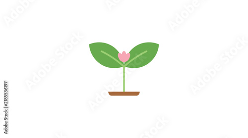 Small green plant with pink flower growing in soil
