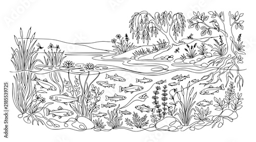 Underwater Ecosystem Illustration: Fish, Plants, and River Life