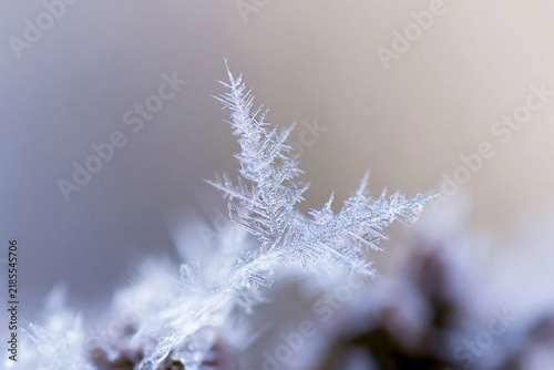 Extreme macro of a single ice crystal structure, frozen winter texture close up