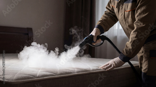 Bed mattress steam cleaning pest control worker indoor hygiene sanitation disinfection