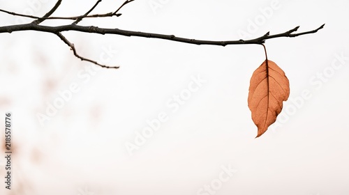 withered. A withered leaf being carried by the wind from a bare branch against a clear sky. ESG reports, sustainability campaigns, designed for sustainability communications and ESG reporting.