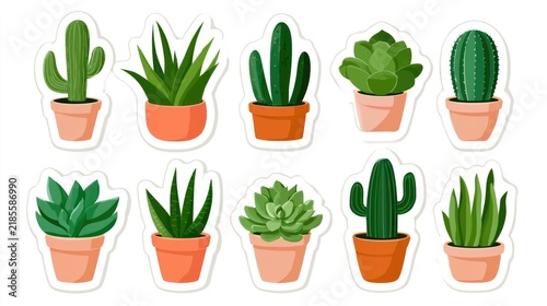 Illustration of ten different green cacti and succulent plants in terracotta pots, arranged in two rows, showcasing various shapes and sizes.