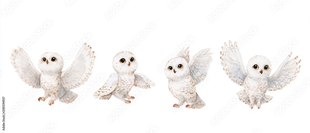 Obraz premium Cute watercolor illustration of a majestic snowy owl flying and looking around, four different poses in a horizontal row, character sheet, isolated on a white background, soft colors, children's book