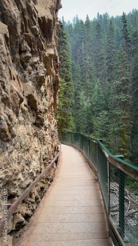 Scenic walkway along a rocky cliff at Johnston Canyon in Alberta, curving pathway with metal railing beside a lush pine forest in Banff National Park.