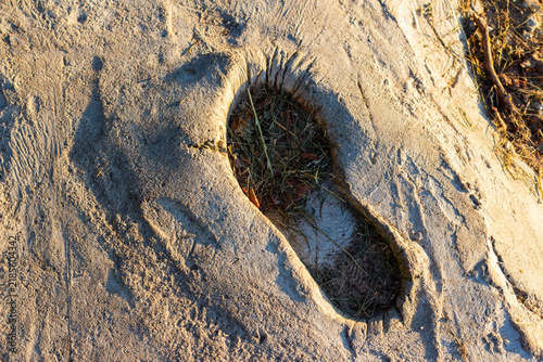 Принти на полотні Deep human footprint pressed into wet concrete pavement, showing clear shoe trea