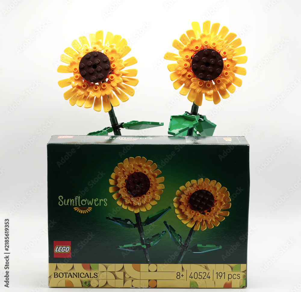 Obraz premium Bologna - Italy - September 8, 2026: Built lego sunflowers from the botanicals collection shown with their original retail packaging box on white background.
