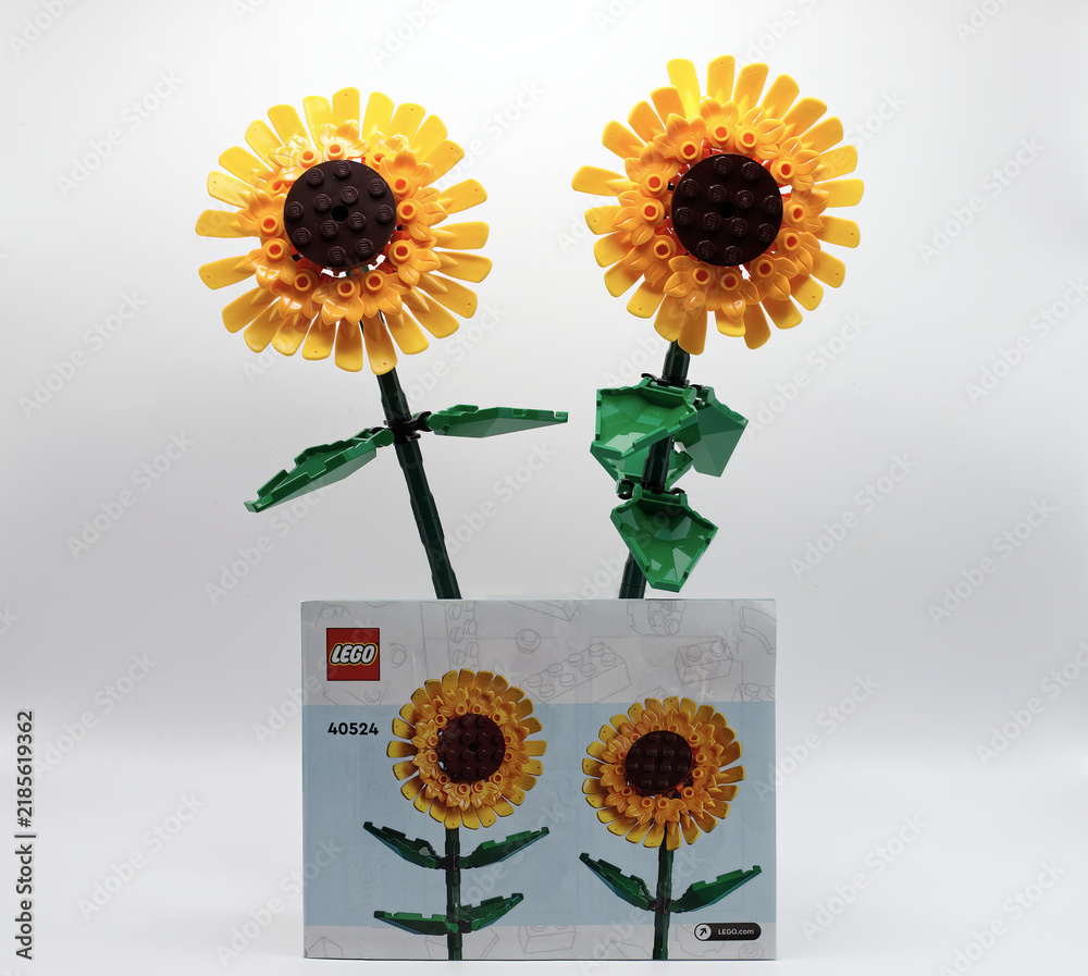 Obraz premium Bologna - Italy - September 8, 2026: Two yellow lego sunflowers toy set assembled and placed behind the original retail packaging box on white background.