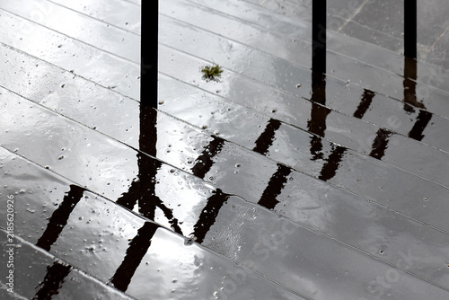 High-contrast photograph of wet outdoor steps reflecting cloudy sky with rhythmic railing shadow patterns. A powerful architectural metaphor for step-by-step career progression, overcoming obstacles