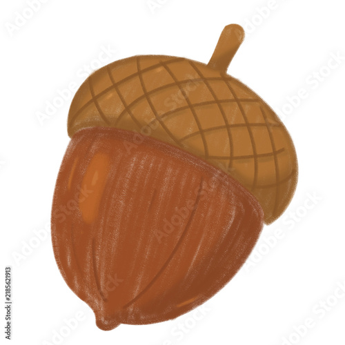 Acorns Illustration