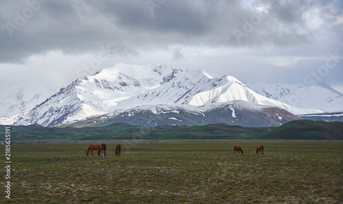 Alay Valley of Osh Region, Kyrgyzstan,