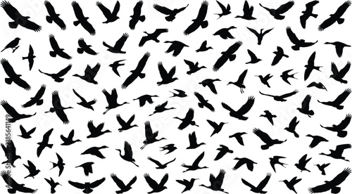 A large collection of black bird silhouettes in various flying poses isolated on a white background perfect for design projects and creative graphic art compositions