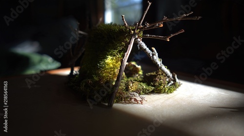 twigs. A miniature sustainable home model nestled among moss and twigs, bathed in soft sunlight. ESG reports, sustainability campaigns, designed for sustainability communications and ESG reporting.