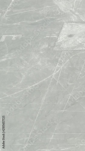ナスカの地上絵 セスナ 空撮 ペルー