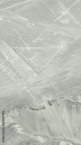 ナスカの地上絵 セスナ 空撮 ペルー