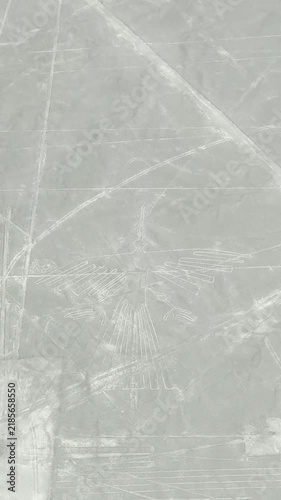 ナスカの地上絵 セスナ 空撮 ペルー