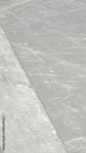 ナスカの地上絵 セスナ 空撮 ペルー