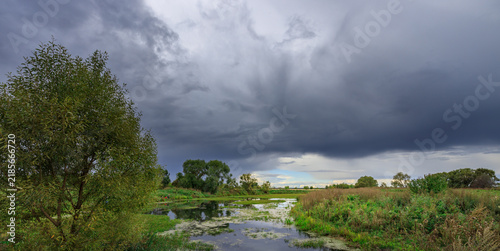 Принти на полотні Lush greenery surrounds still water under brooding storm clouds