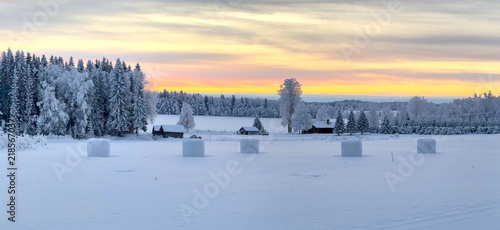 Panoramic view of snow-covered cabins by the forest at sunrise in winter, Finnish Lapland, Finland