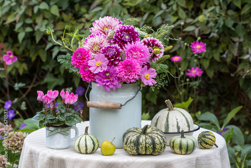 Blumenstrauß mit pink Dahlien, Herbstanemonen und Sommeraster im alten Milchkrug, Alpenveilchen in Emaille-Tasse und Kürbisse im Garten