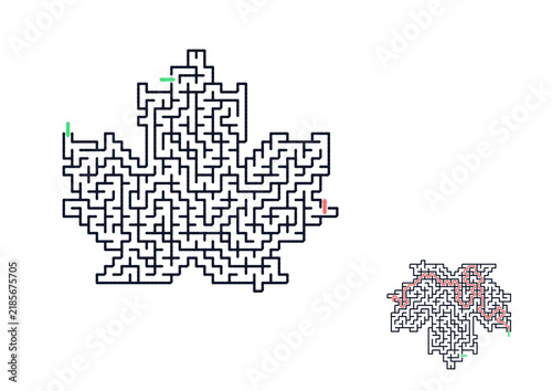 Maple leaf maze illustration with paths and green indicators  