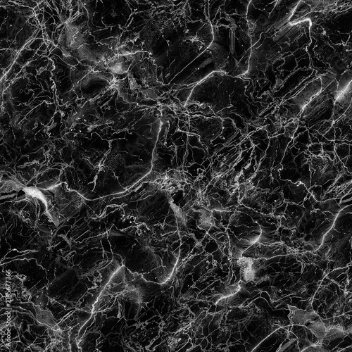 Canvas Print High-contrast black marble texture featuring a dense network of intricate, fine white veins across a dark fractured background