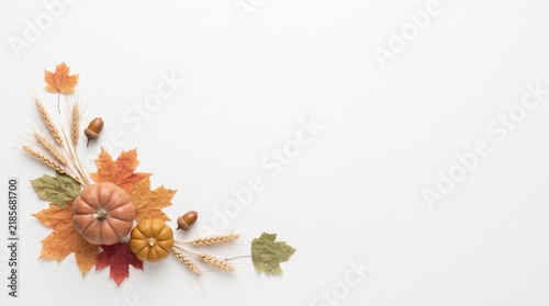 Watercolor Thanksgiving border background with autumn leaves and pumpkins for festive holiday design