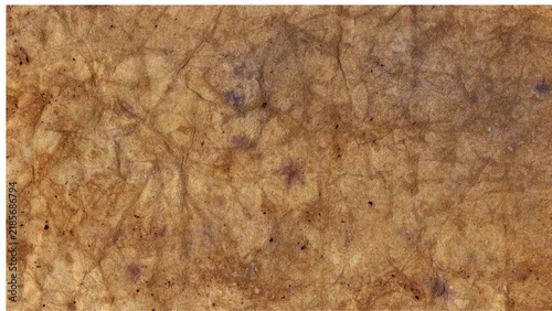 wood texture background