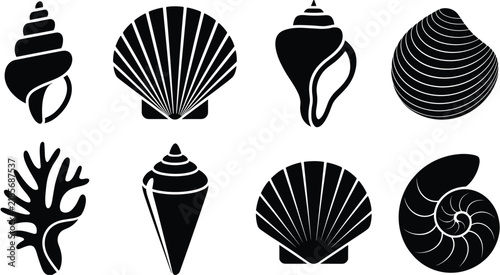 Set of eight black silhouette of various seashells and coral branches isolated on a plain white background, for marine themed projects