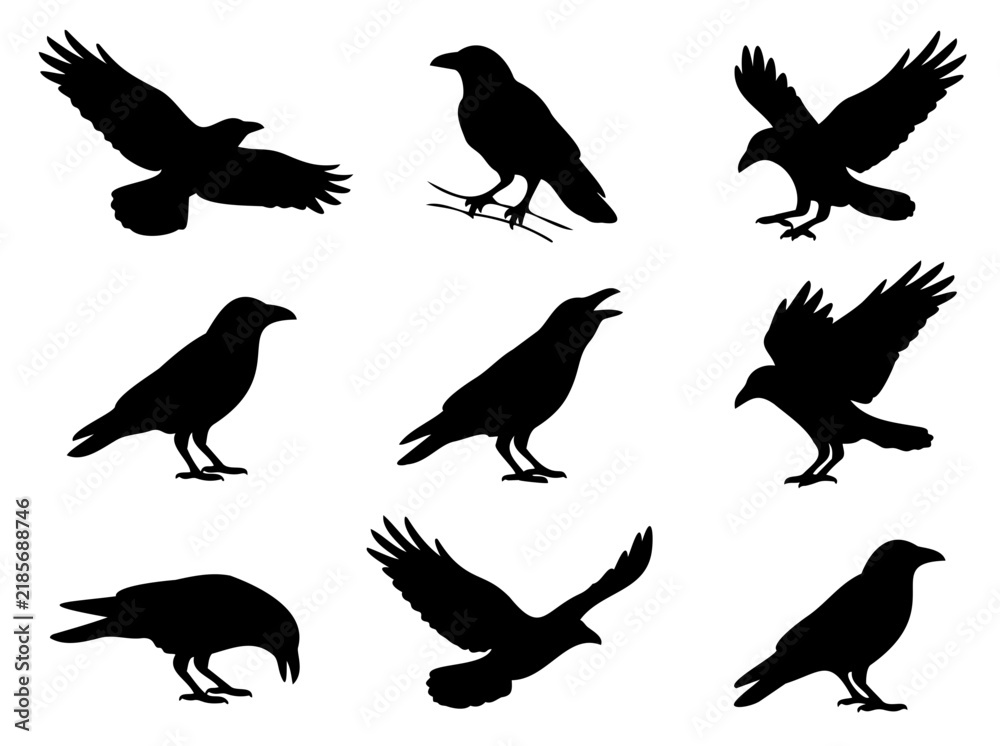 Obraz premium flying crow birds wildlife silhouette vector icon set, black crow birds flying wildlife silhouette vector set