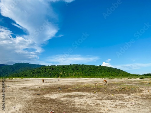 Scenic Green Hills and Open Riverbank Under a Bright Blue Sky
