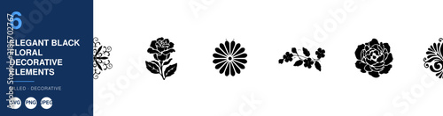 Floral Decorative Elements Set, Elegant Black Design, Vector Illustration, Nameplate Design, Graphic Design Elements.
