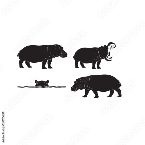 Hippopotamus Silhouette Vector Set
Wild Hippo Black Silhouette
Hippopotamus Black and White Illustration