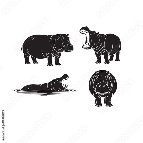 Hippopotamus Silhouette Vector Set
Wild Hippo Black Silhouette
Hippopotamus Black and White Illustration