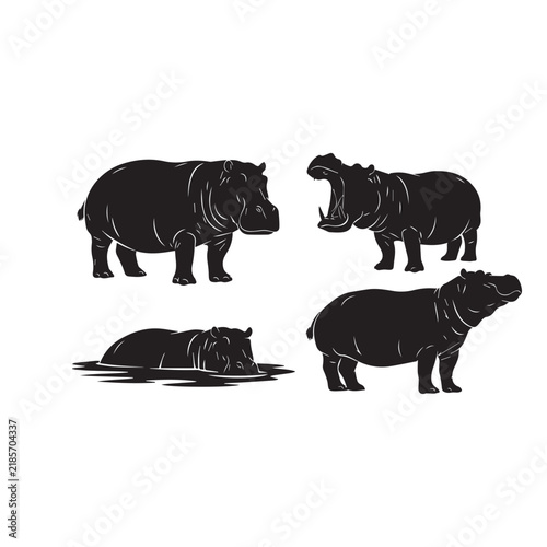 Hippopotamus Silhouette Vector Set
Wild Hippo Black Silhouette
Hippopotamus Black and White Illustration