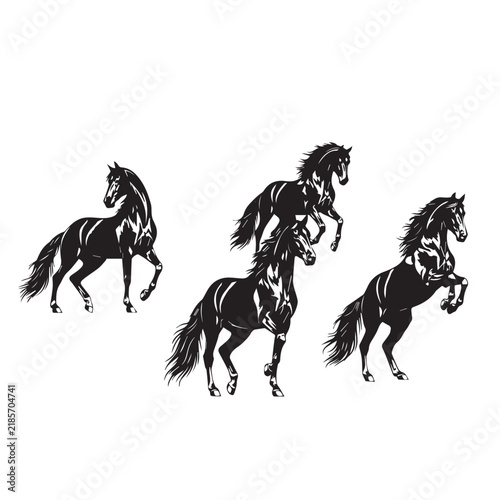 Andalusian Horse Silhouette Vector Set
Andalusian Horse Black Silhouette
Andalusian Horse Black and White Illustration