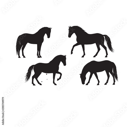 Andalusian Horse Silhouette Vector Set
Andalusian Horse Black Silhouette
Andalusian Horse Black and White Illustration