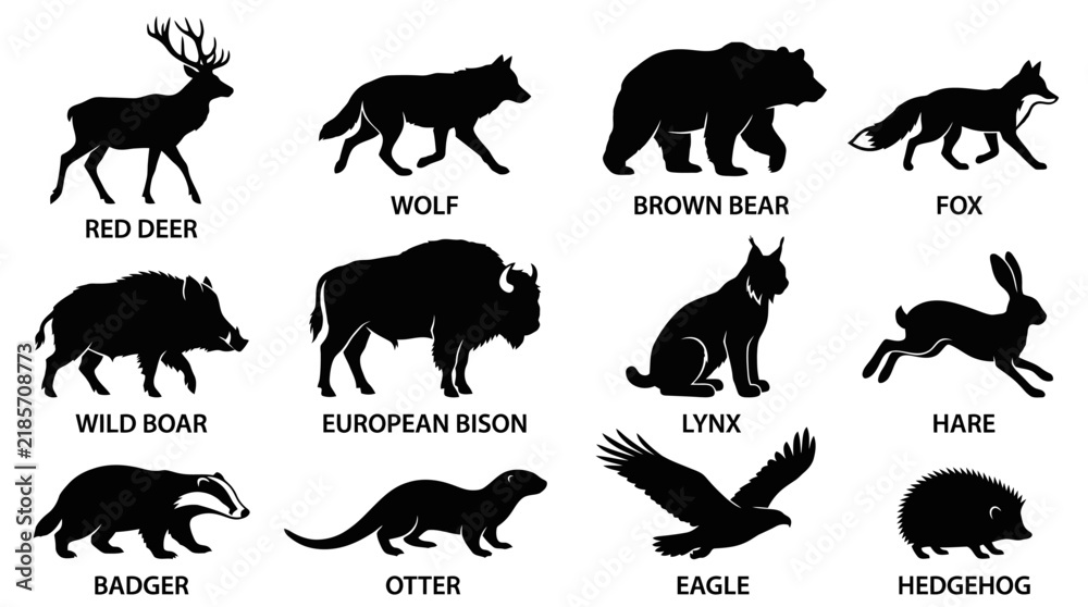 Fototapeta premium Animal silhouettes set featuring various wild mammals and birds with labels in white background