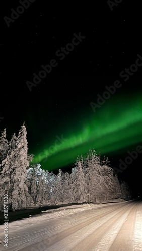 Northern lights (Aurora Borealis) over a snowy road and spruce forest in Finnish Lapland, Finland