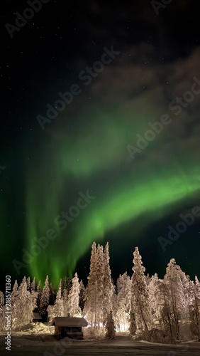 Northern lights (Aurora Borealis) over a snowy forest in Finnish Lapland, Finland
