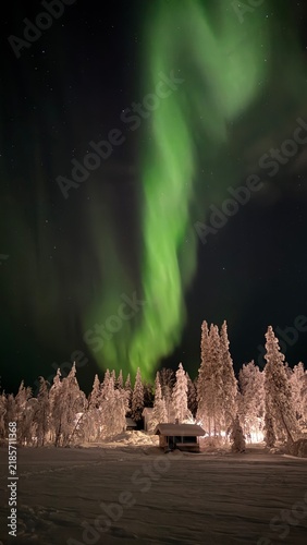 Northern lights (Aurora Borealis) over a snowy forest in Finnish Lapland, Finland