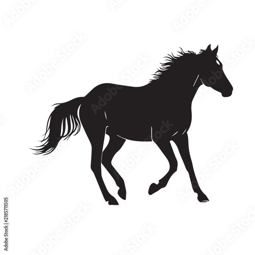 Mustang Horse Silhouette Vector Set
Wild Mustang Horse Black Silhouette
Horse Silhouette Black and White Illustration