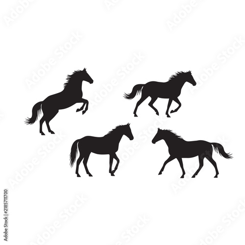 Mustang Horse Silhouette Vector Set
Wild Mustang Horse Black Silhouette
Horse Silhouette Black and White Illustration