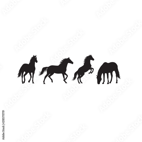 Mustang Horse Silhouette Vector Set
Wild Mustang Horse Black Silhouette
Horse Silhouette Black and White Illustration