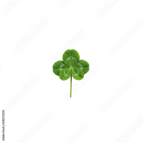 Cuadro en lienzo Green four leaf clover isolated on transparent background