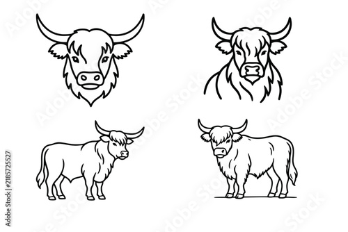 Highland Cattle Line Art Illustrations Set. Minimalist Vector Outline Drawings of Highland Cows and Bulls for Farm Animal Design Concepts.