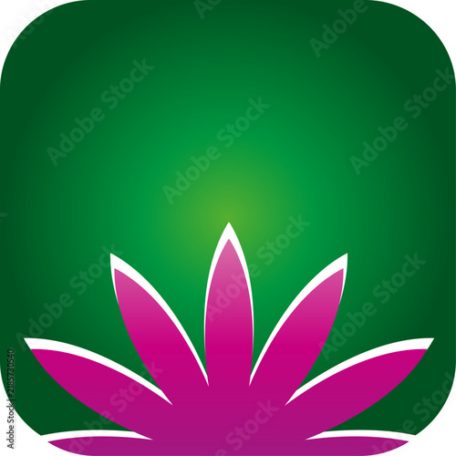 Seerose, Pflanze, Blume, Heilpraktiker, Logo, Icon